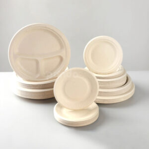 biodegradable sugarcane pulp disposable round plates for food packaging and catering