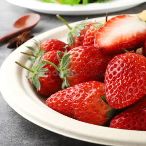 biodegradable sugarcane pulp disposable round plates for food packaging and catering