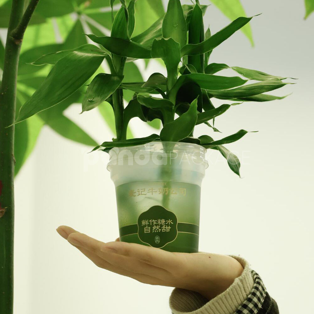 eco-friendly reusable clear plastic food container cups with green lids for desserts and fruits