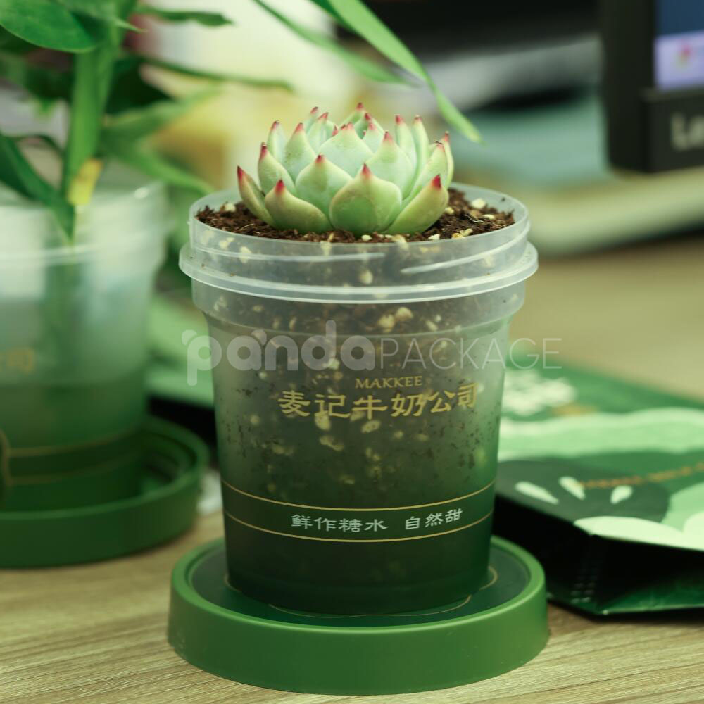 eco-friendly reusable clear plastic food container cups with green lids for desserts and fruits