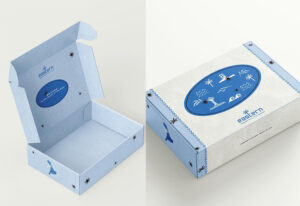 Case Study: Integrated Packaging Solutions for a Cross-Border E-Commerce Seller
