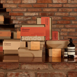 biodegradable molded pulp cosmetic box with paper sleeve for sustainable skincare gift packaging