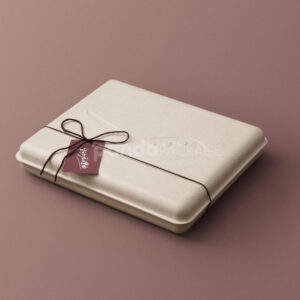 biodegradable molded pulp cosmetic box with hinged lid and custom insert for sustainable skincare gift packaging