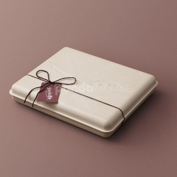 Biodegradable Molded Pulp Gift Box for Sustainable Skincare Packaging