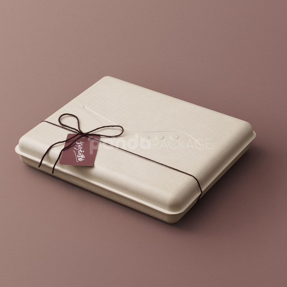 biodegradable molded pulp cosmetic box with hinged lid and custom insert for sustainable skincare gift packaging