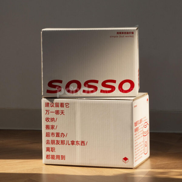 Recyclable White Corrugated Cardboard Box for Shipping Storage