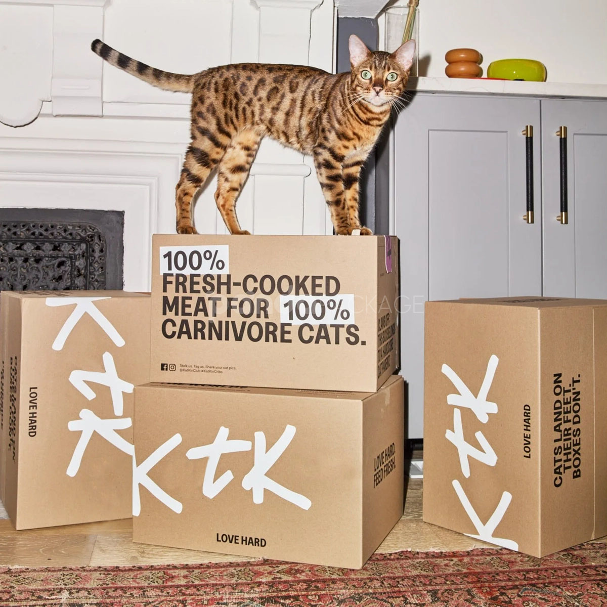 corrugated cardboard shipping box for fresh pet food packaging