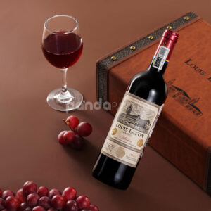 luxury rigid leather wine gift box with handle lock and dual bottle compartments for premium packaging