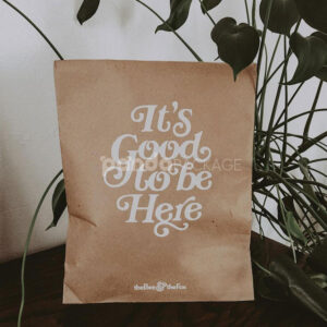 kraft paper mailer bag for clothing shipping and packaging