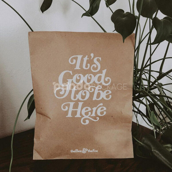 Kraft Paper Mailer Bag for Sustainable Apparel Packaging