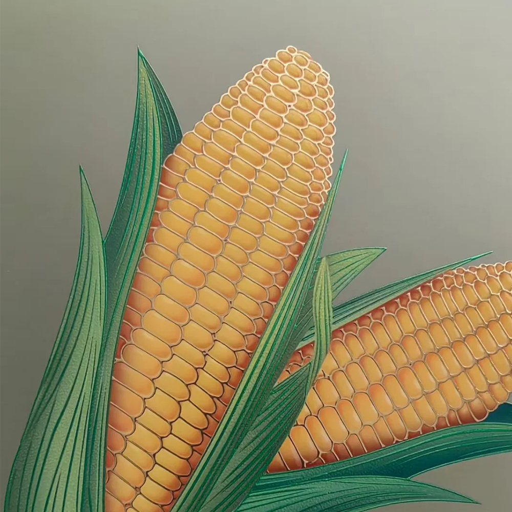 What Is Cold Foil vs. Hot Foil Stamping?