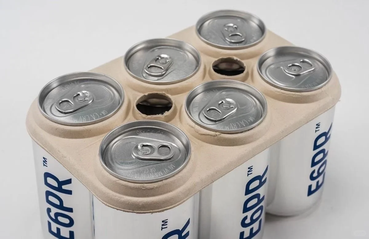 Moulded-fibre carrier holding six beverage cans